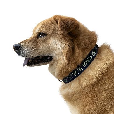 Star Wars "The Favorite Child" Dog Collar