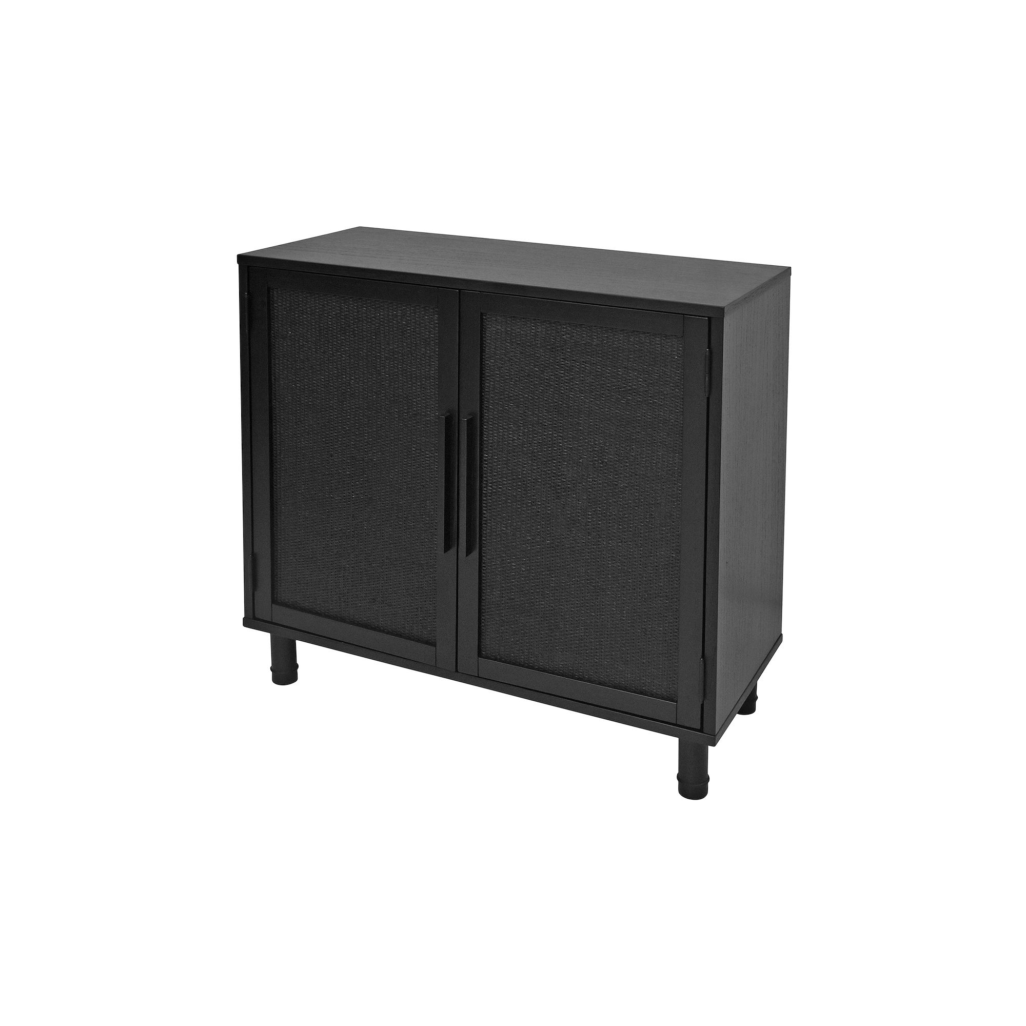 Hopper Studio Delancey 2-Door Storage Cabinet, Black