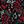 Black Mulit Floral
