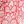 Coral Tan Mod Palm
