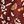 Wine Twig Floral
