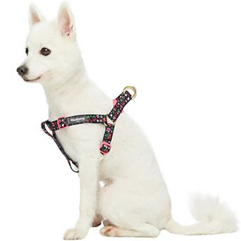 Blueberry Pet Cherry Garden Dog Harness