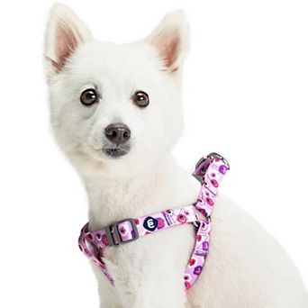 Blueberry Pet Garden Floral Dog Harness