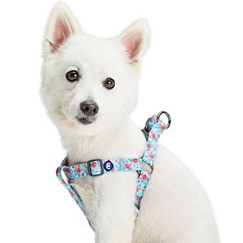 Blueberry Pet Garden Floral Dog Harness