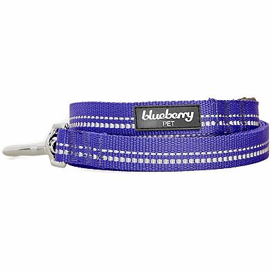 Blueberry Pet 3M Reflective Pastel Color Dog Leash