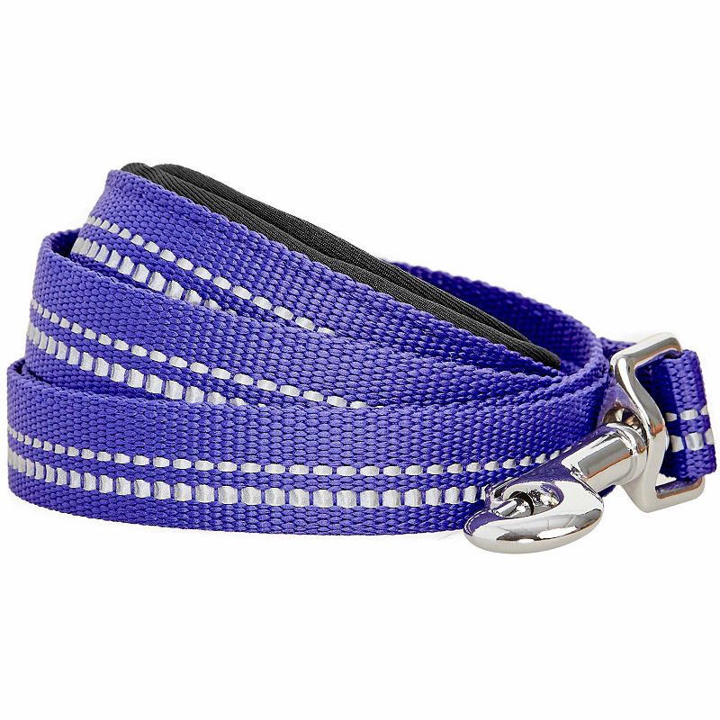 Blueberry Pet 3M Reflective Pastel Color Dog Leash, Purple