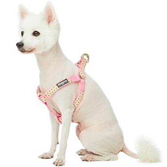 Blueberry Pet Velvety Polka Dot Flocking Dog Harness