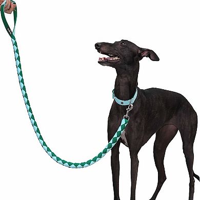 Blueberry Pet Iconic Double-weave Dog Leash