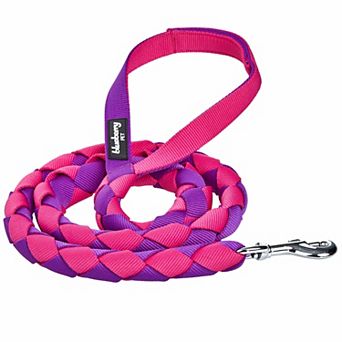 Blueberry Pet Iconic Double-weave Dog Leash