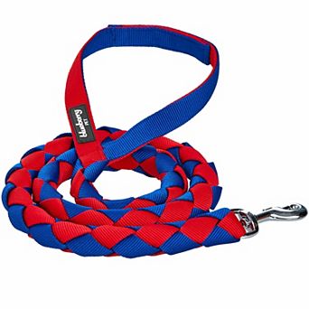 Blueberry Pet Iconic Double-weave Dog Leash