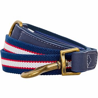 Blueberry Pet Genuine Leather & Polyester Dog Leash