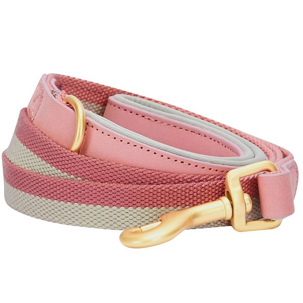 Blueberry Pet Polyester and Leather Dog Leash - 6ft x 1" - Pink and Gray