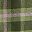 Green Complex Plaid