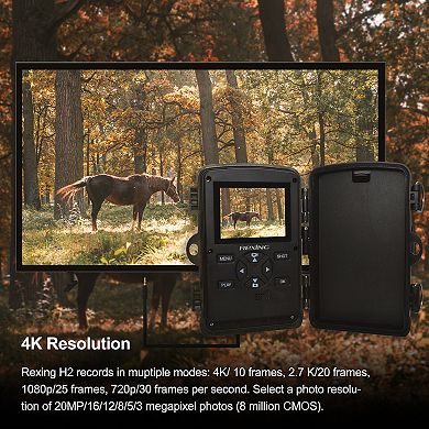 Rexing H2 4K Trail Cam