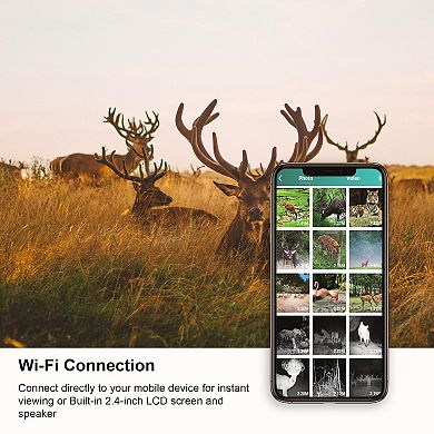 Rexing H2 4K Trail Cam
