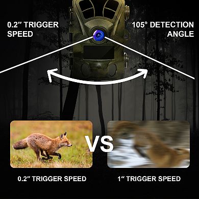 Rexing H2 4K Trail Cam