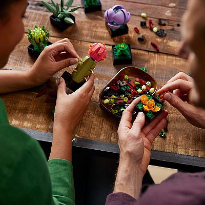 LEGO 10309 - Succulents