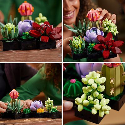 seeds garden vegetable Heirloom Seed Gift Basket, Vegetable and Herb Seeds, Great for Patio G –  Mountainlily Farm main image 1