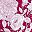 Cherry White
