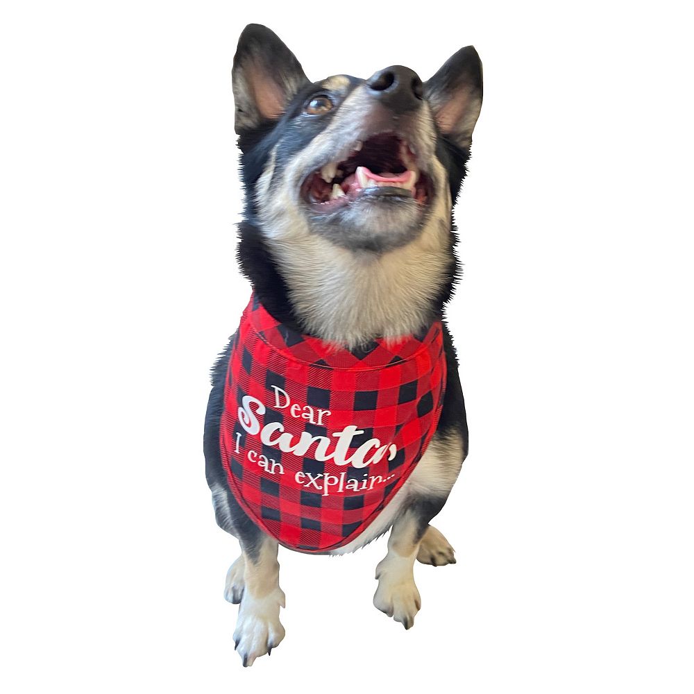 Bandana, Dear Santa I can Explain, Christmas Pet Bandana