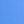 Cornflower