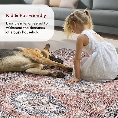 nuLOOM Desna Machine Washable Faded Vintage Area Rug