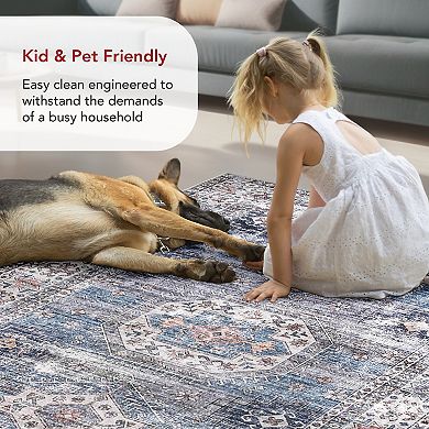 nuLOOM Drina Machine Washable Distressed Area Rug