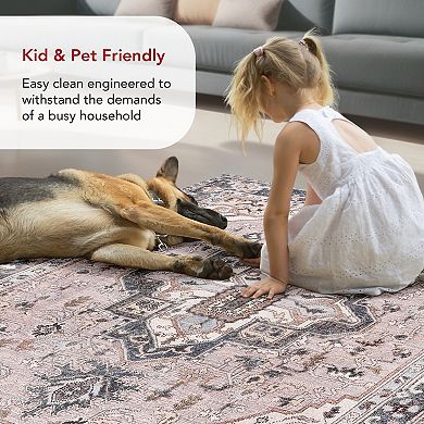 nuLOOM Sasha Machine Washable Medallion Area Rug