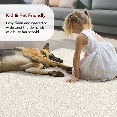 nuLOOM Marlow Machine Washable Soft Shaggy Faux Sheepskin Area Rug