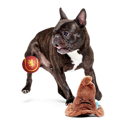 BARK The Sorting Hat Dog Toy