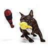 BARK Quidditch Equipment Pack Dog Toy