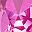 Gold Tone Pink