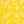 Yellow Ditzy
