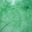 Green Howlite