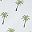 Palm Tree