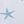 Starfish Blue