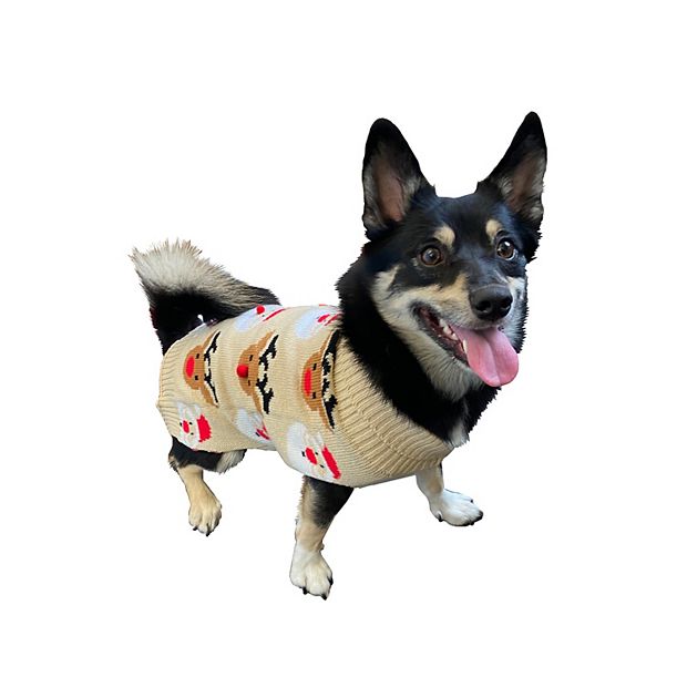 Kohls dog sweater online