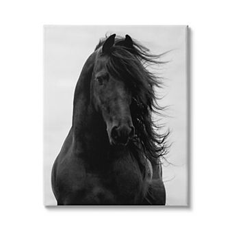 Stupell Home Decor Black Stallion Horse Portrait Canvas Wall Art