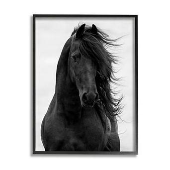 Stupell Home Decor Black Stallion Horse Portrait Framed Wall Art