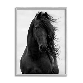 Stupell Home Decor Black Stallion Horse Portrait Framed Wall Art