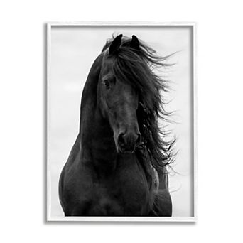 Stupell Home Decor Black Stallion Horse Portrait Framed Wall Art