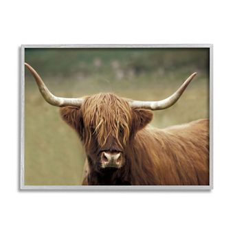 Stupell Home Decor Country Animal Portrait Framed Canvas Art