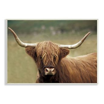 Stupell Home Decor Country Animal Portrait Framed Canvas Art
