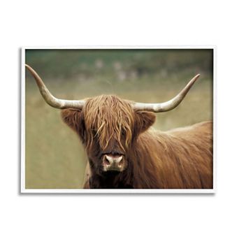 Stupell Home Decor Country Animal Portrait Framed Canvas Art