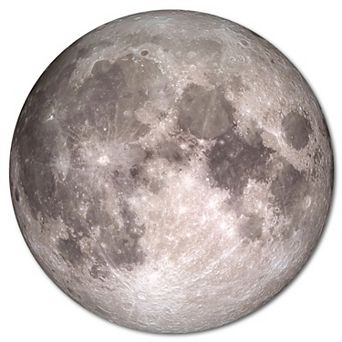 Courtside Market Full Moon Circular Board Wall Art