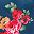 Rose Navy