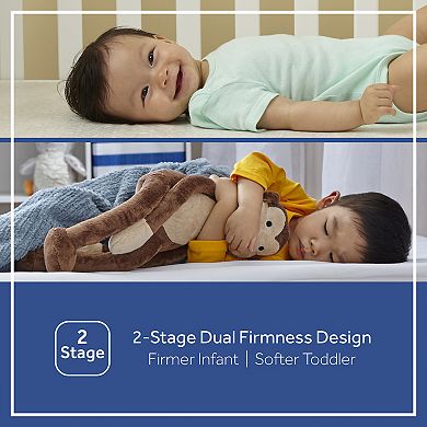 Sealy Butterfly 2-Stage Ultra Firm Crib Mattress