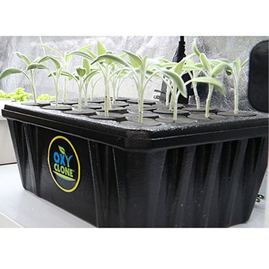 OxyCLONE OX20SYS 20 Site Hydroponics Compact Recirculating Cloning System Kit
