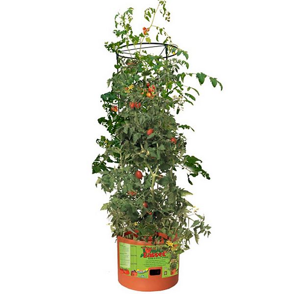 Hydrofarm GCTB Tomato Barrel Pot Garden Planting System and 4 Foot ...