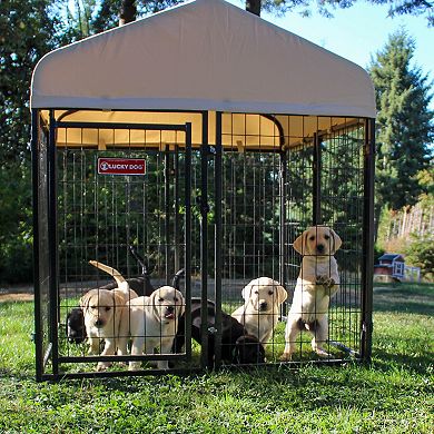 Lucky Dog STAY Series Studio Jr. 4x4x4.3 Ft Roofed Steel Frame Dog Kennel, Khaki